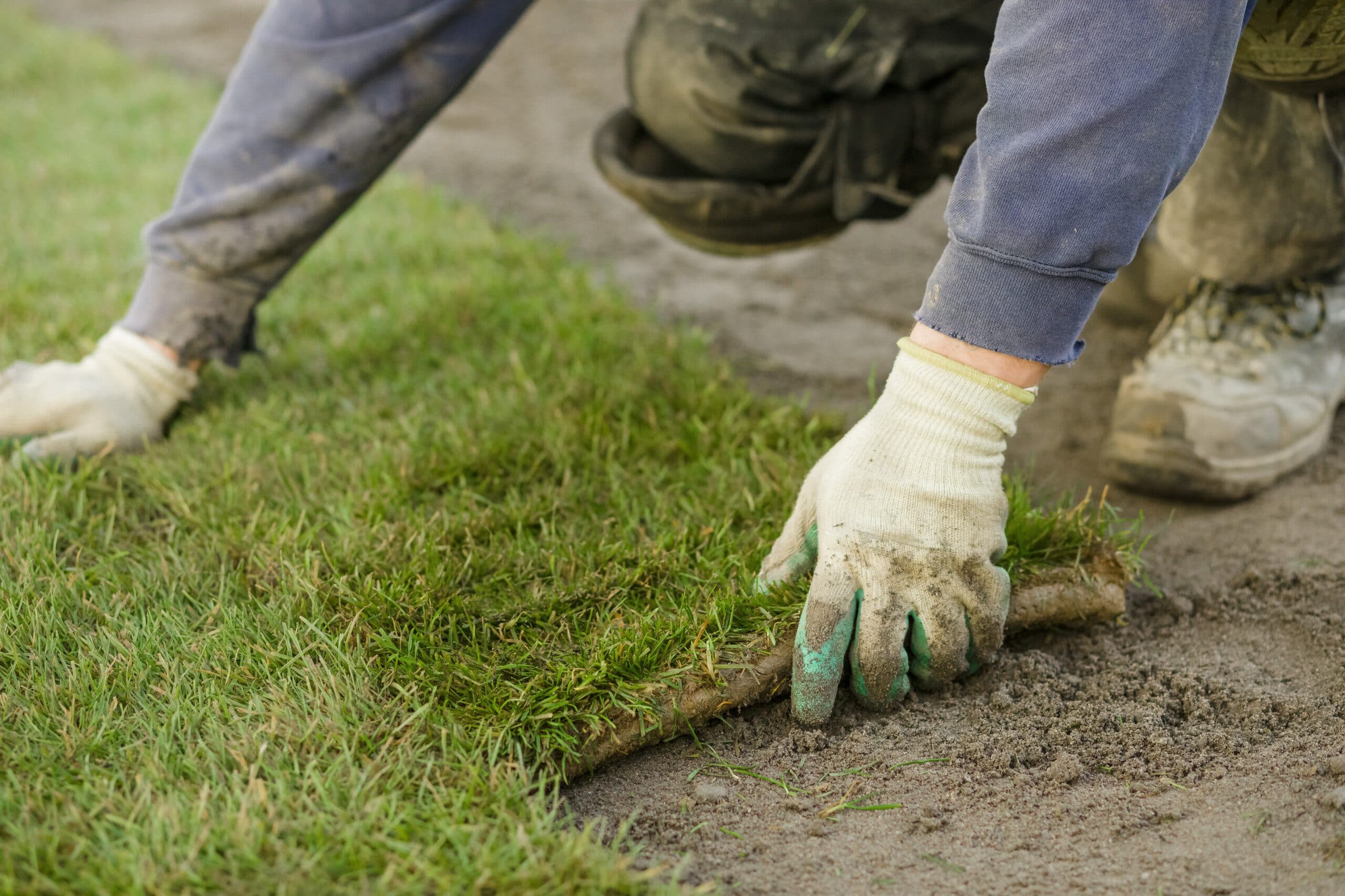 Preparando terreno para plantar grama corretamente